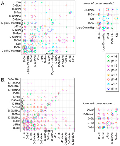 Distribution of linkages (Fig. 12)