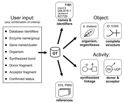 CSDB_GT: queries and answers