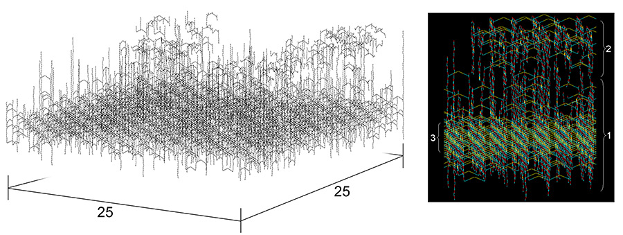 Fragment of the murein scaffold