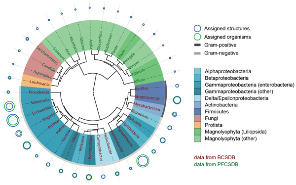 Glycan-based phenetic tree at the genus level