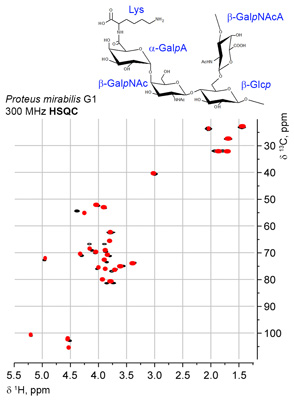 HSQC simulation