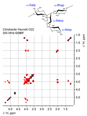 COSY simulation